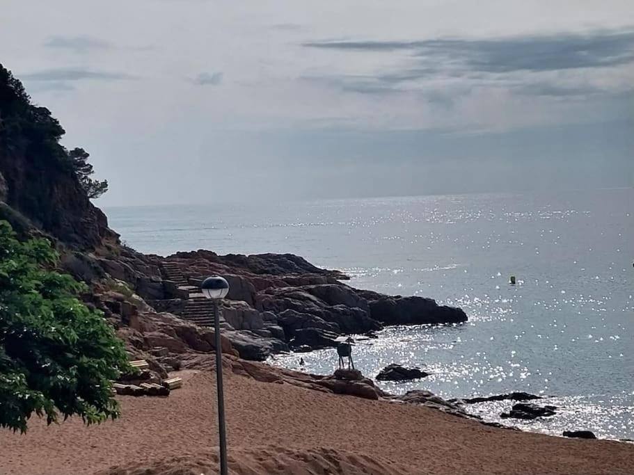 Cala Salions Balandro II Tossa De Mar Apartment กาเนด เด มาร์ ภายนอก รูปภาพ