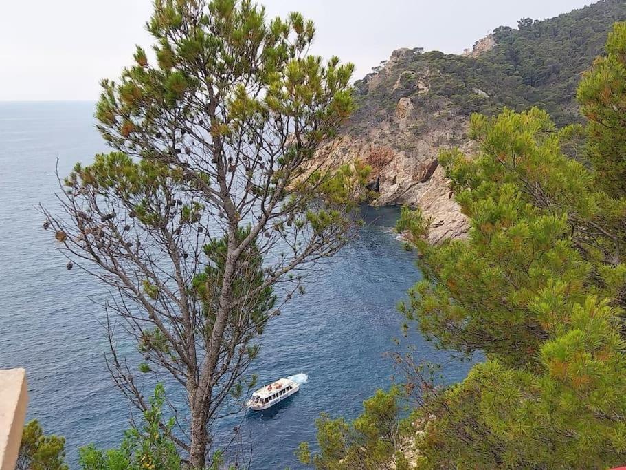 Cala Salions Balandro II Tossa De Mar Apartment กาเนด เด มาร์ ภายนอก รูปภาพ