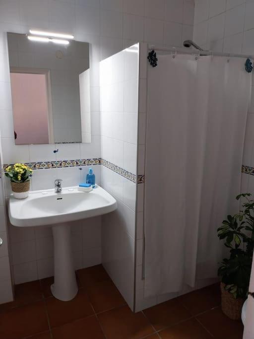 Cala Salions Balandro II Tossa De Mar Apartment กาเนด เด มาร์ ภายนอก รูปภาพ