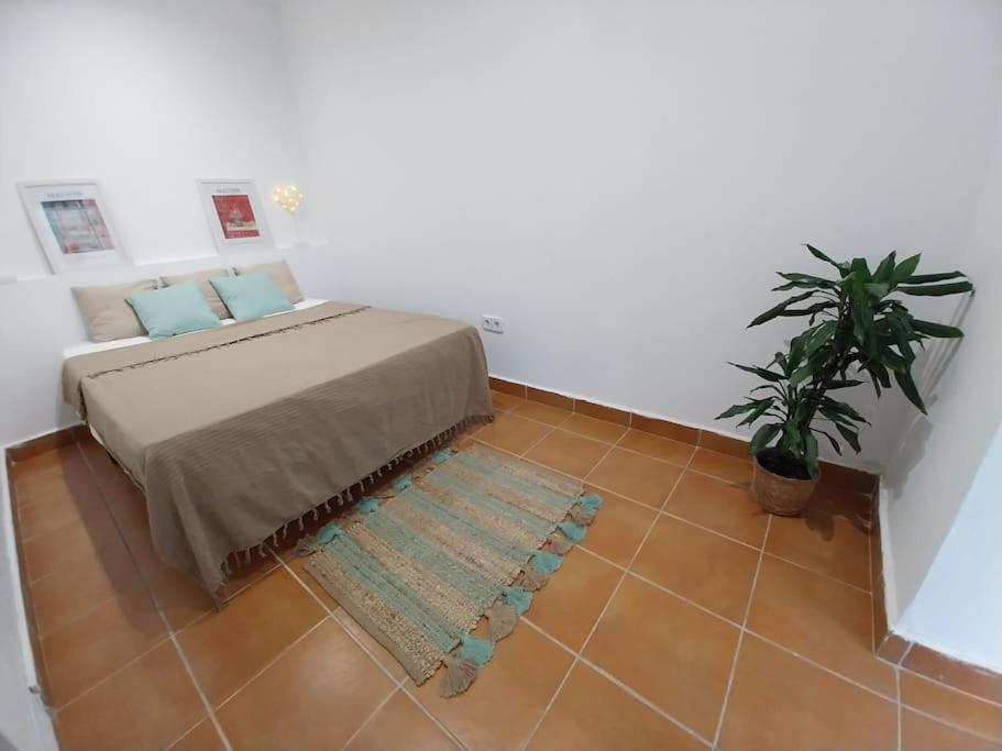 Cala Salions Balandro II Tossa De Mar Apartment กาเนด เด มาร์ ภายนอก รูปภาพ