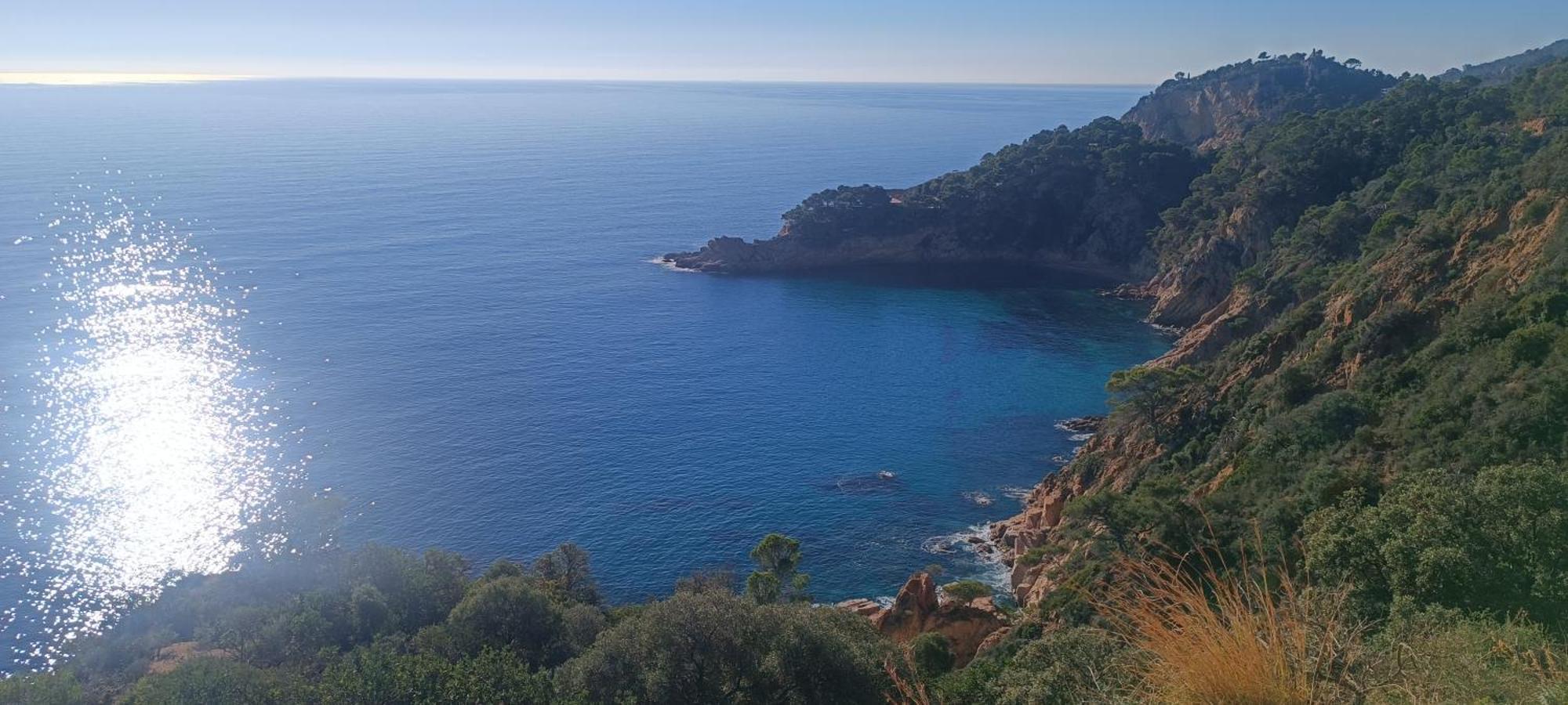 Cala Salions Balandro II Tossa De Mar Apartment กาเนด เด มาร์ ภายนอก รูปภาพ